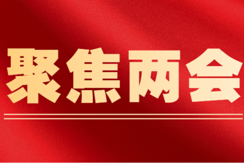 全國人大代表李寅建議（三）丨盡快解決可再生能源電價附加補(bǔ)貼拖欠問題的建議