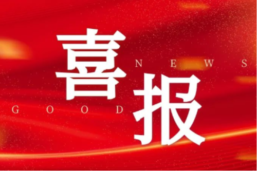 喜報！智能配電網(wǎng)事業(yè)部榮獲2025年黑龍江省工人先鋒號（巾幗標兵崗）榮譽稱號